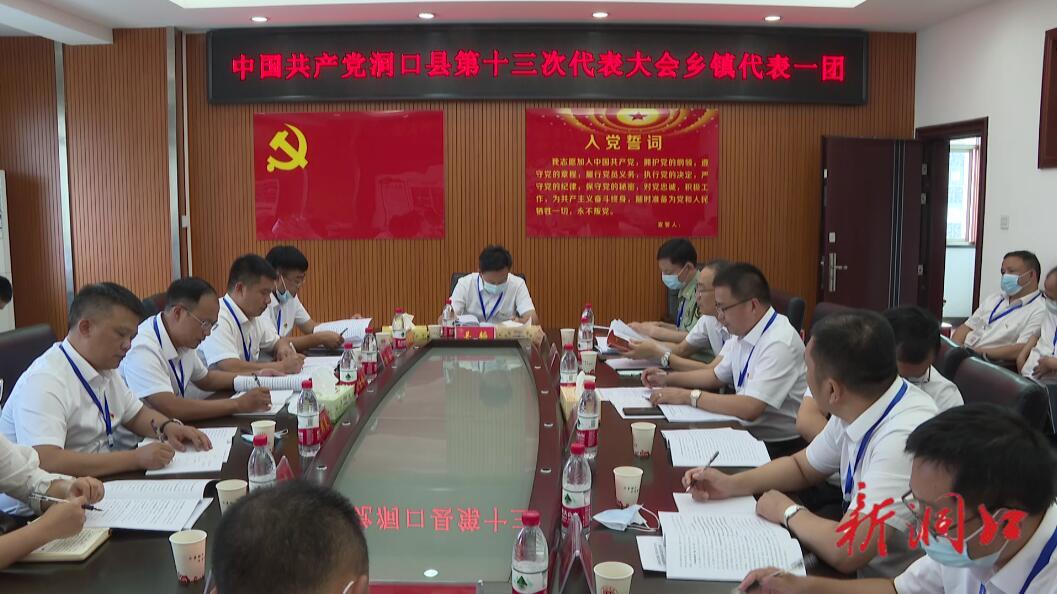 吴韬参加中国共产党洞口县第十三次代表大会分团讨论