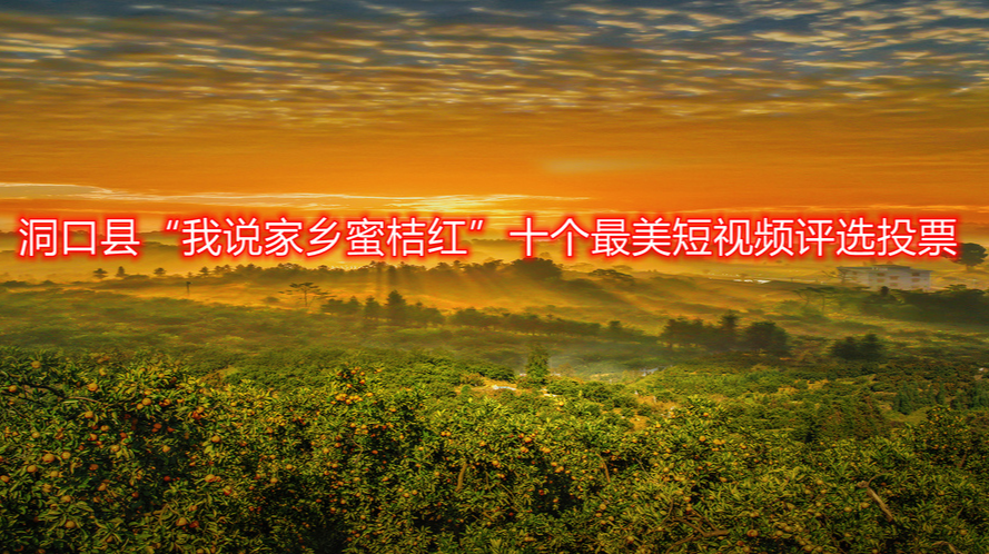 洞口县“我说家乡蜜桔红”十个最美短视频评选投票