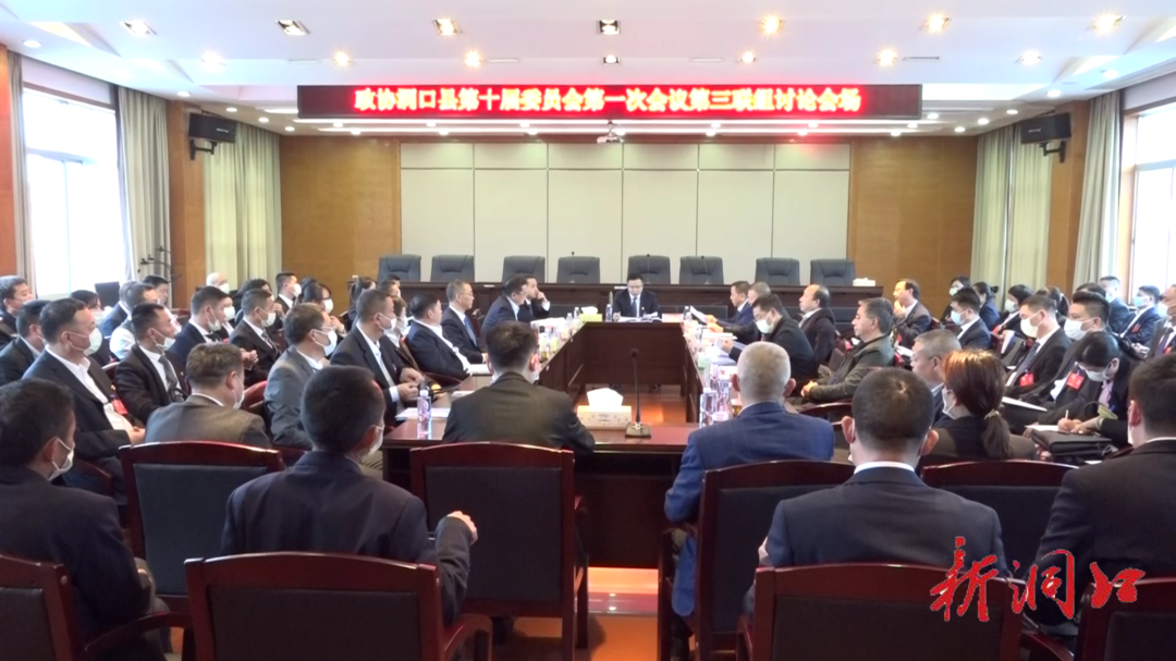 罗颢等县领导参加政协第三联组讨论