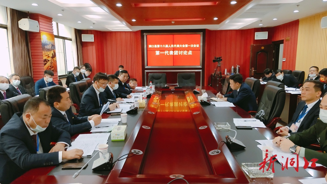 吴韬 贺永亮参加洞口县第十八届人民代表大会第一次会议第一代表团讨论