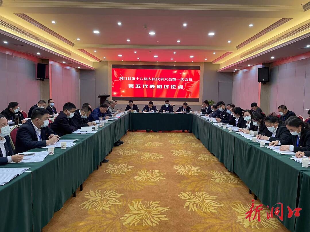 欧阳佑春参加洞口县第十八届人民代表大会第一次会议第五代表团讨论