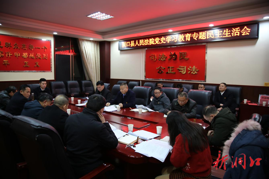 洞口法院党组从严从实召开党史  学习教育专题民主生活会