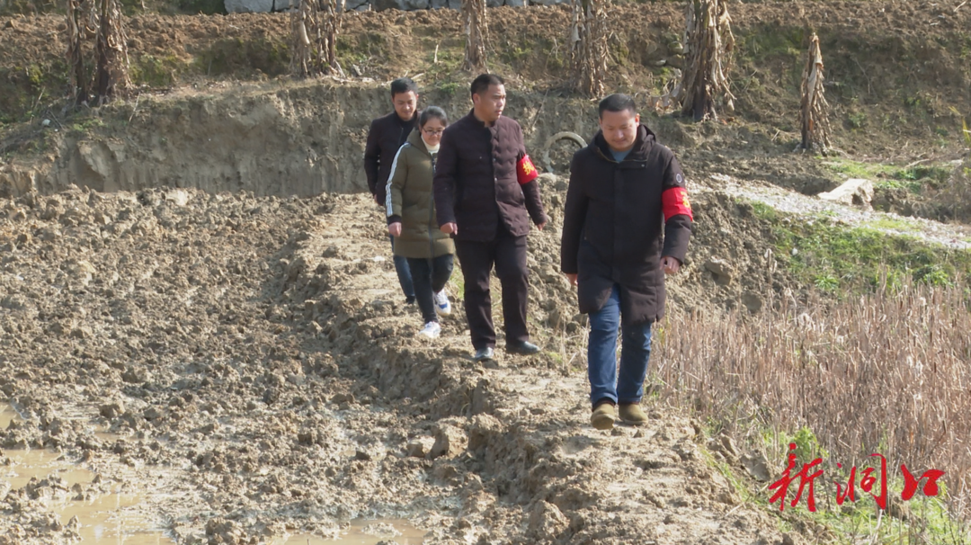 洞口县石江镇：推行“土地集中巡查日”   坚决制止耕地“非农化”