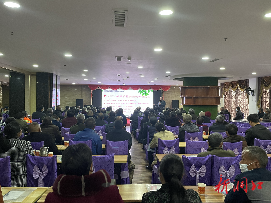 高沙镇温塘村:农作物栽培技术培训助力乡村产业振兴