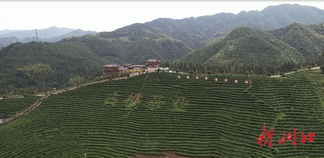洞口县古楼茶文化园景区荣获“2021年省文明风景旅游区”称号