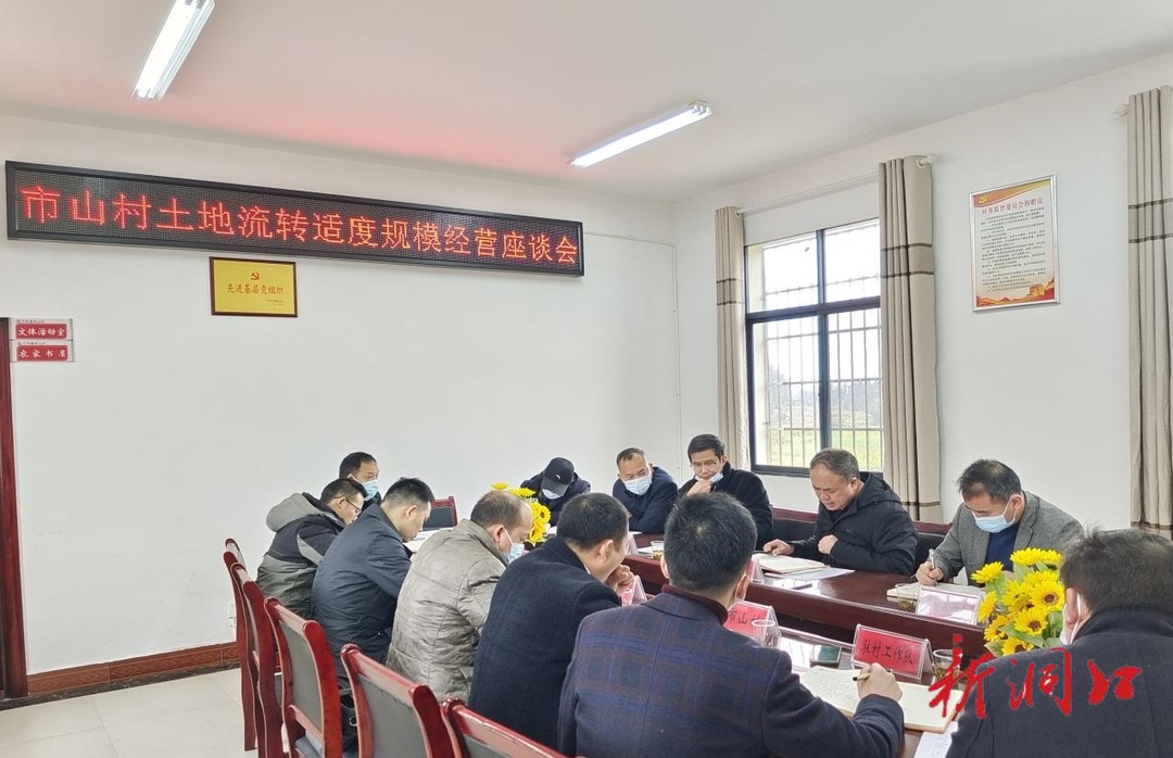 洞口县城投集团有限公司召开竹市镇市山村土地流转及适度规模经营座谈会