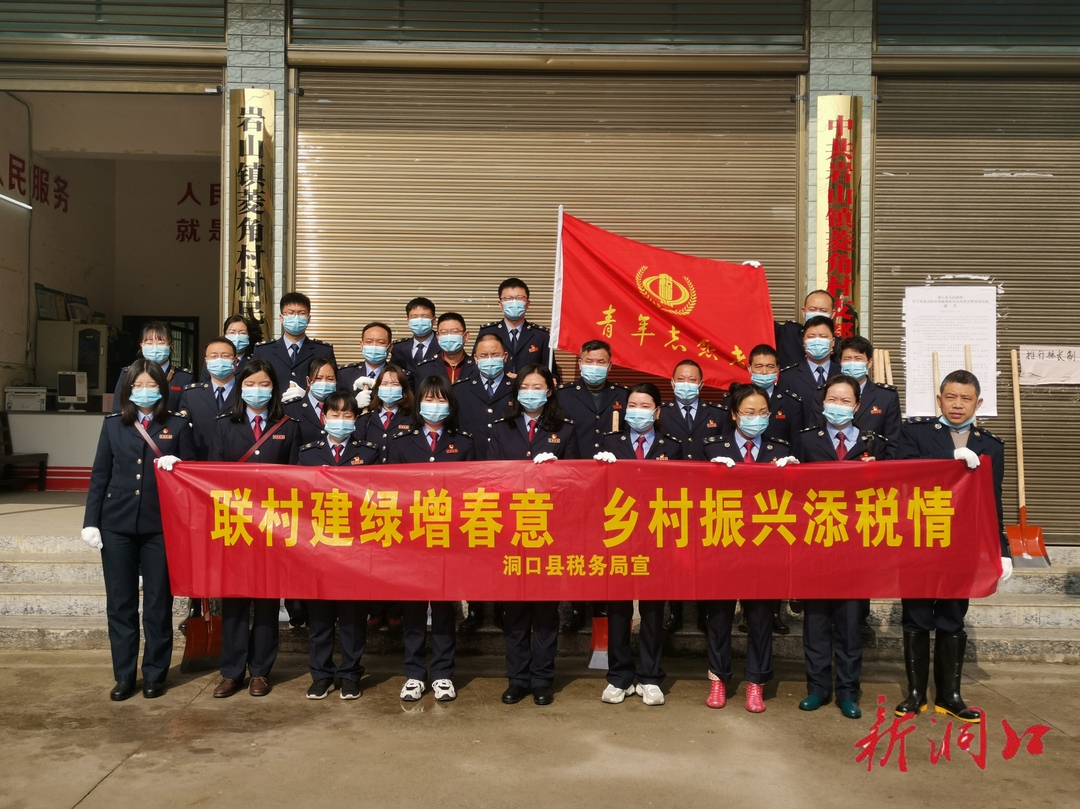 洞口税务：联村建绿增春意  乡村振兴添税情