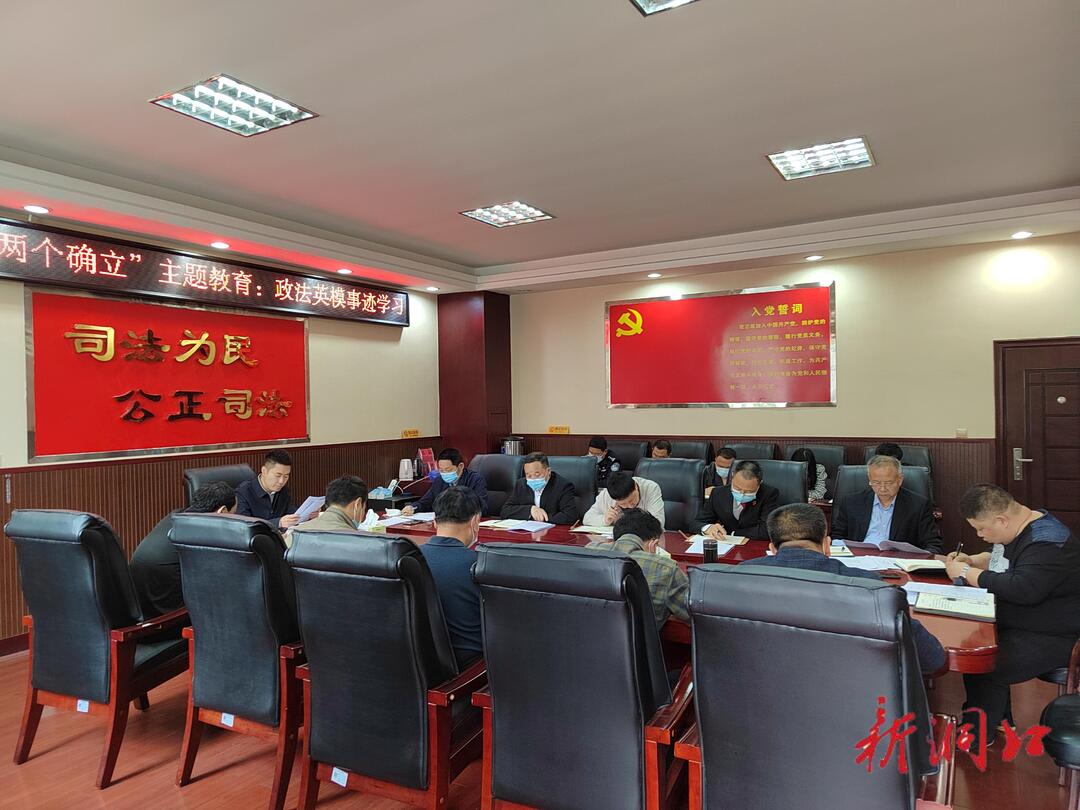 洞口法院坚持“四化”目标推进“两个确立”主题教育