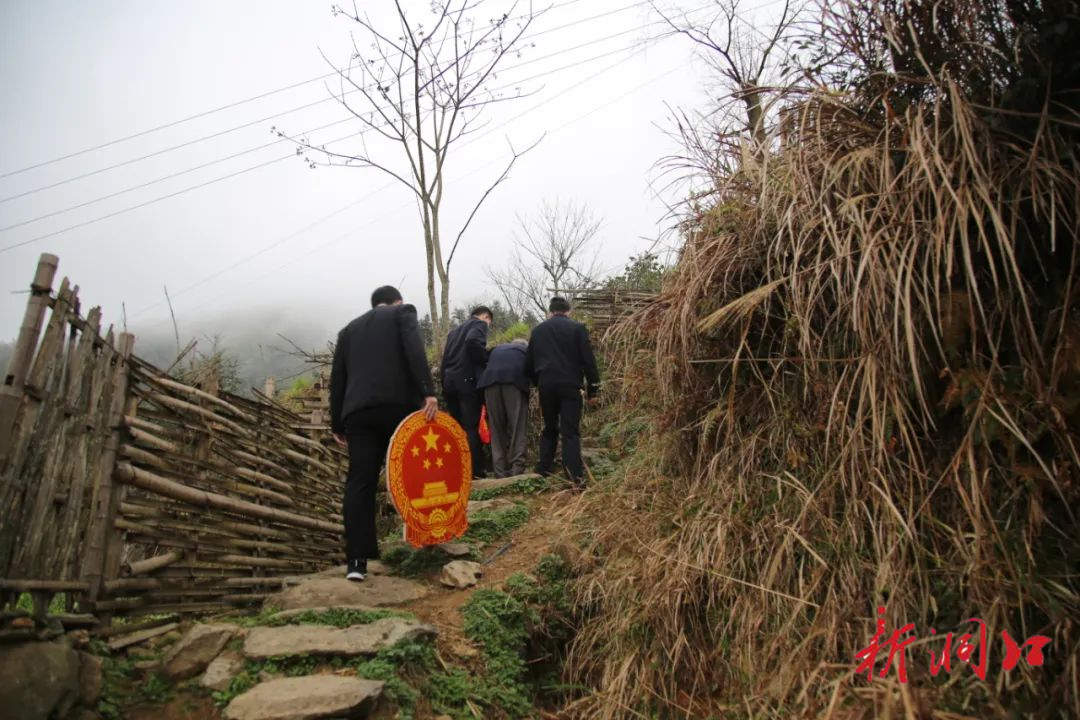 洞口法院积极开展 “护航二十大，法院党旗红”主题教育活动