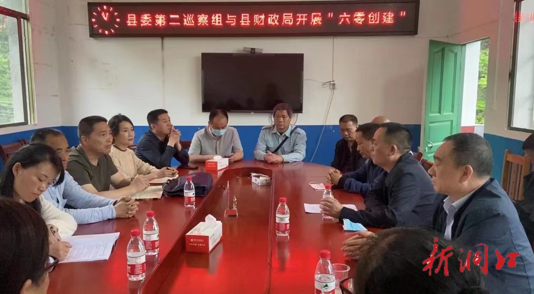 【“六零”创建】“六零”创建 巡察在行动—— 中共洞口县委第二巡察组开展主题党日活动