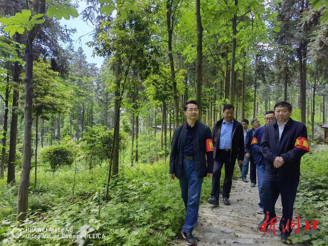 林长巡林常态化  森林防火“永无休”
