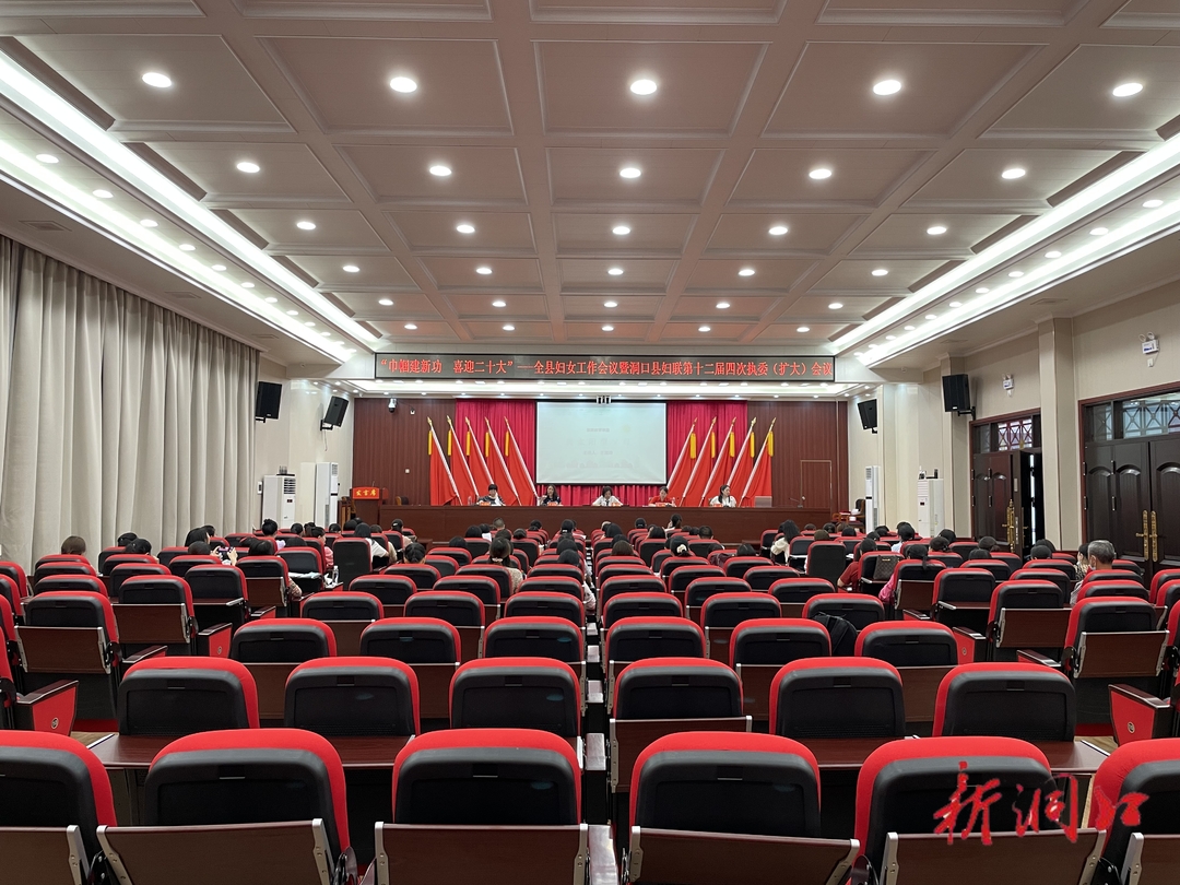 巾帼建新功 喜迎二十大 | 洞口县妇女工作会议召开