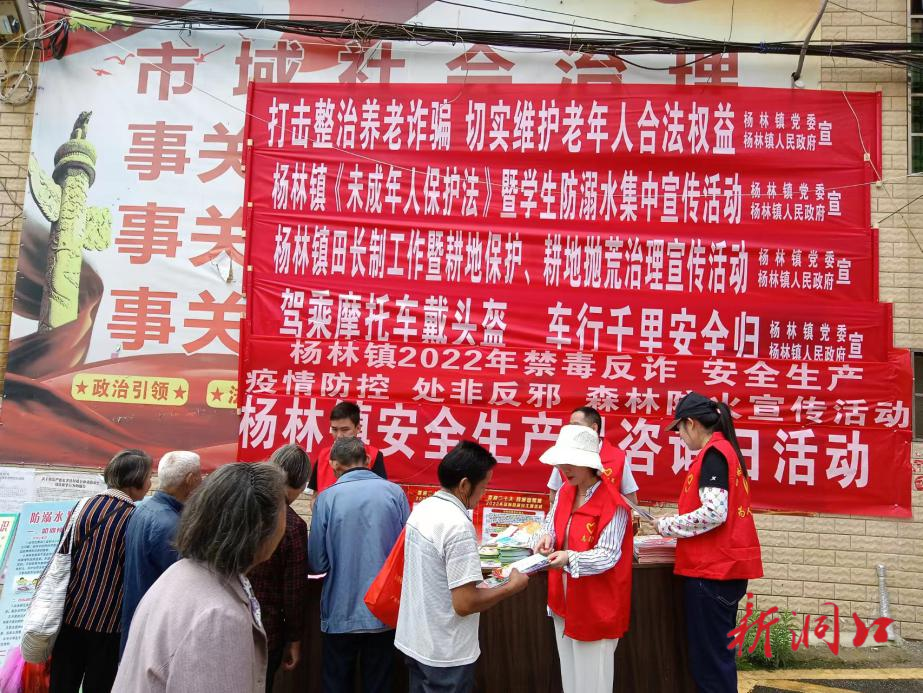 杨林镇积极开展安全生产月安全咨询日活动