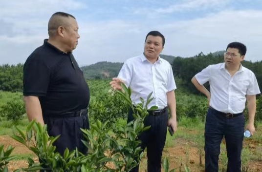 欧阳佑春到竹市镇调研人大工作