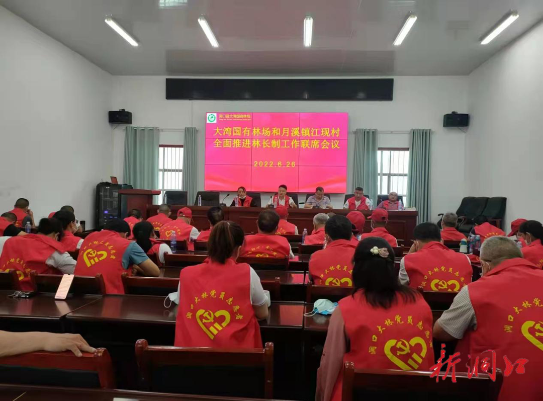 洞口县大湾国有林场召开全面推进林长制工作联席会议