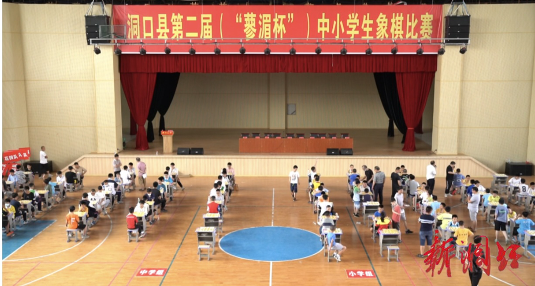 洞口县举办第二届“蓼湄杯”中小学生象棋比赛