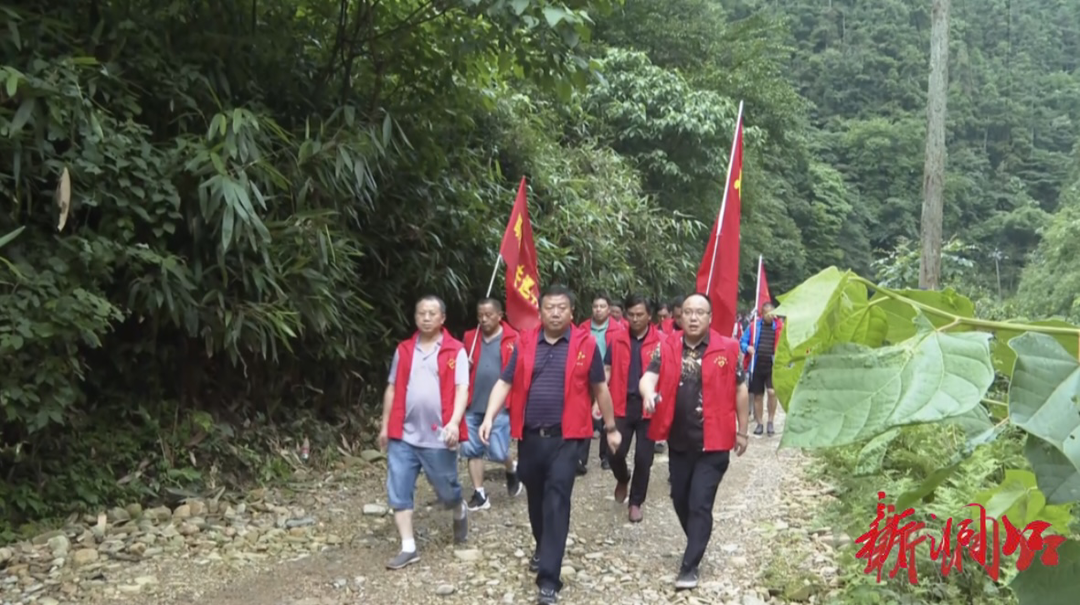 洞口县林业局开展“跟着林长去巡林”主题党日活动