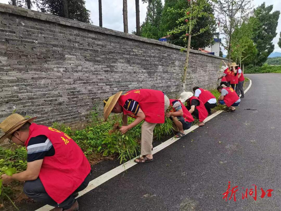 桐山国有林场：喜迎“二十大”