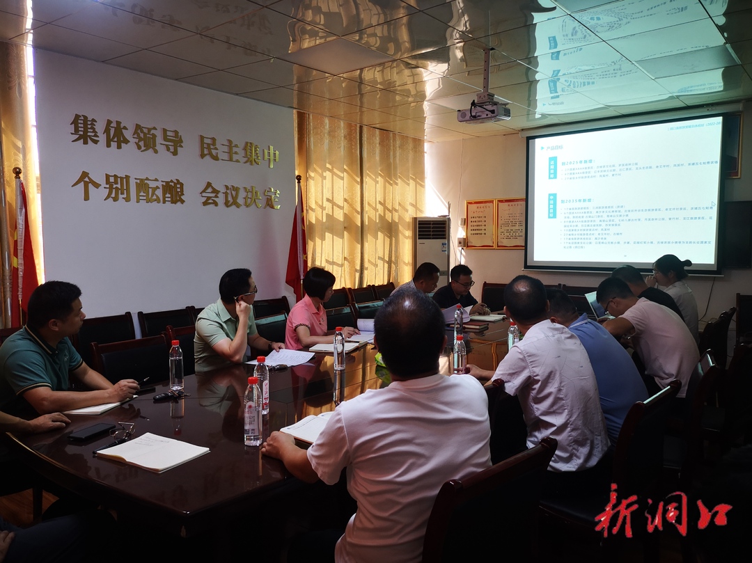 洞口县文旅广体局举行旅游发展总体规划和洞口县“十四五”文旅广体融合发展规划阶段成果汇报会