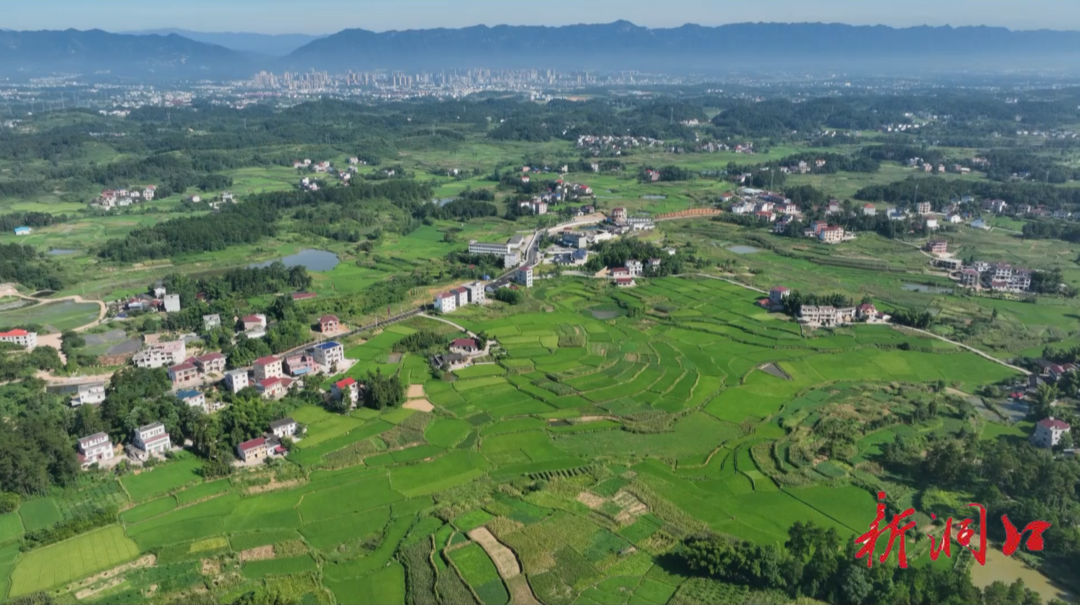 新闻链接｜我们村：洞口县高沙镇温塘村：推广使用“我们村”数字乡村平台 激活乡村治理新动能 助力乡村振兴