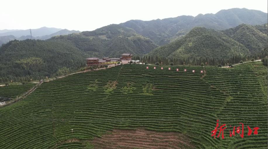 洞口县古楼茶文化园入围湖南省“十佳茶旅融合特色景区”