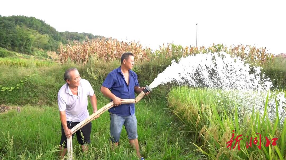 洞口黄桥镇：抗旱小分队 保农田灌溉