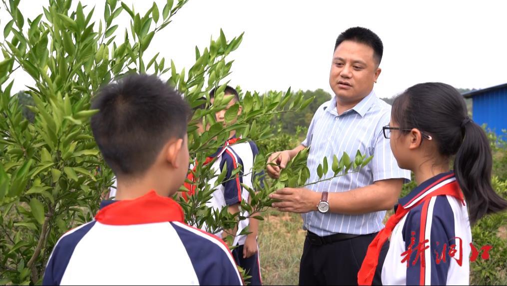 高沙镇中心小学：农场劳动开启“开学第一课”