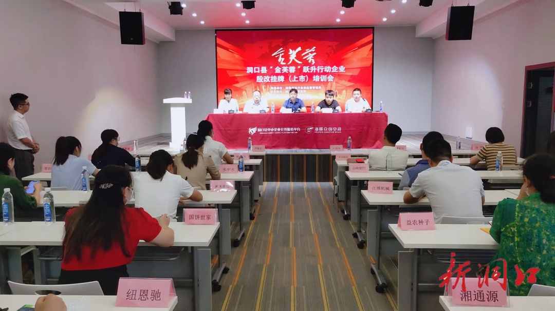 洞口县举办金芙蓉跃升行动企业股改挂牌（上市）培训会