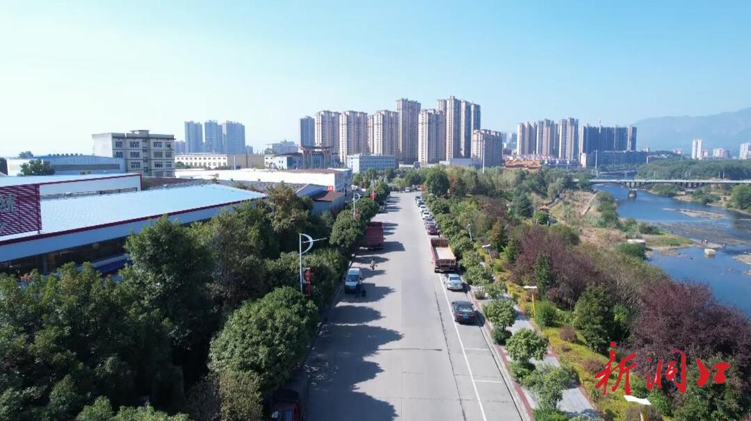 洞口：满城尽是桂花香