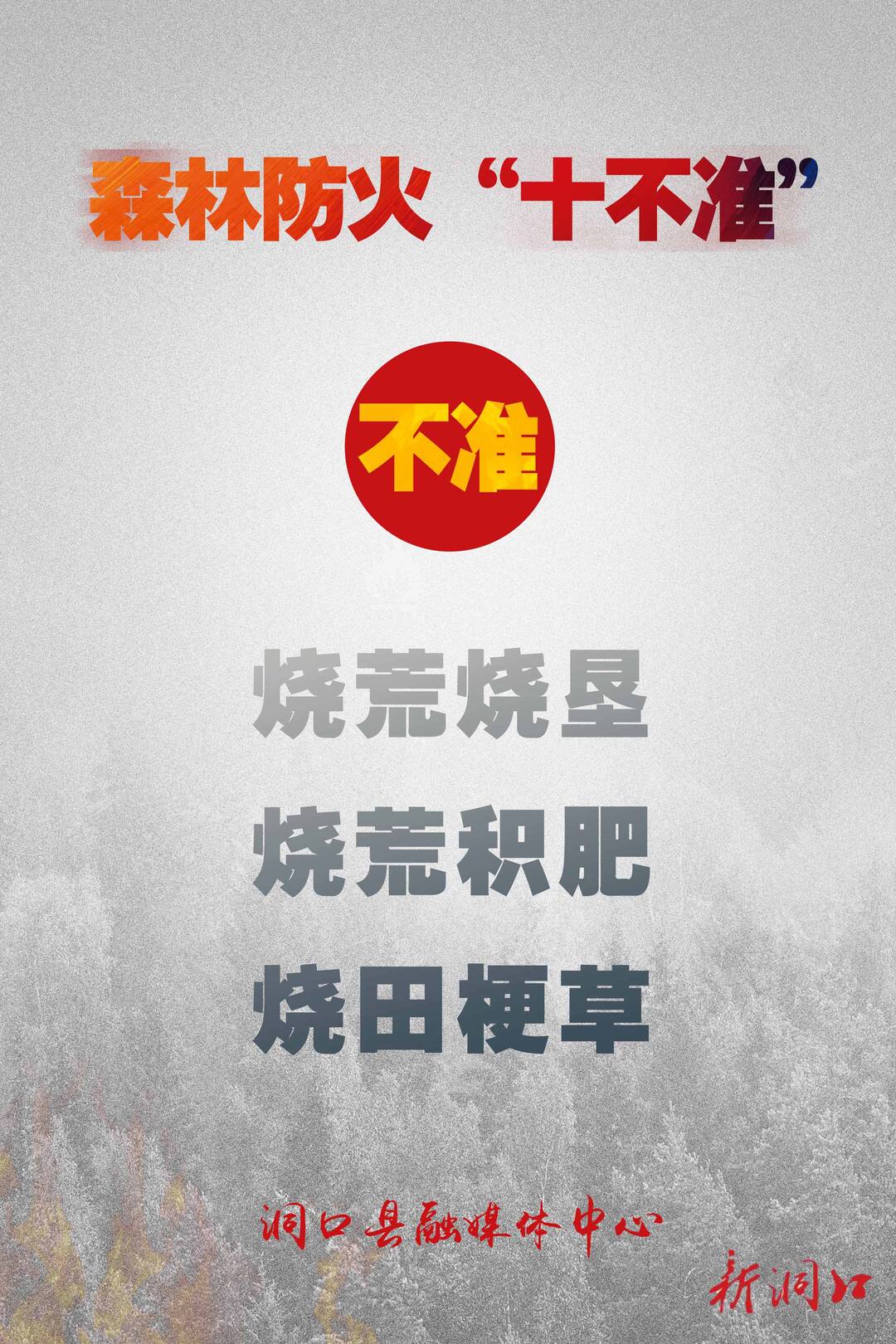 应急科普 | 森林防火“十不准”，你都知道多少呢？