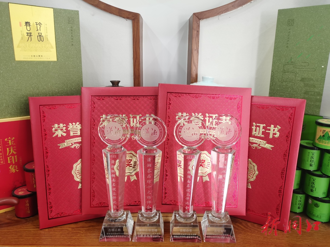 第二届潇湘茶文化节在长沙开幕 古楼雪峰云雾茶获十大标杆企业和三项金奖