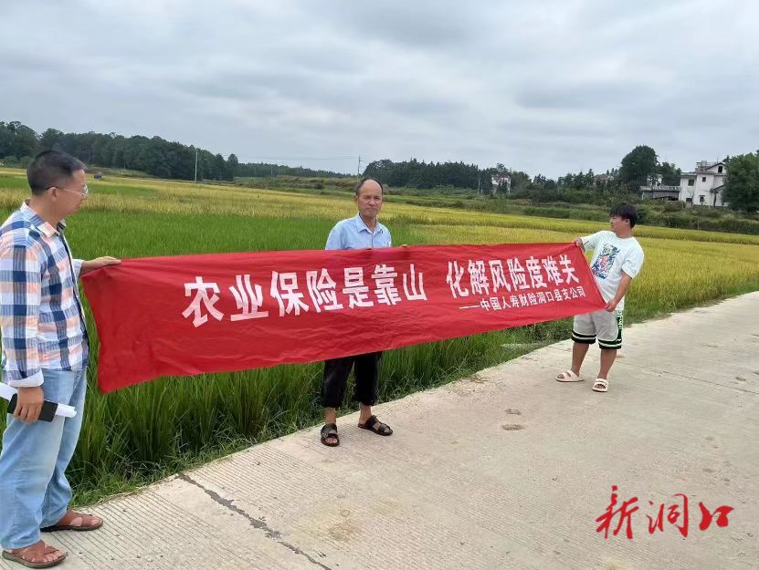中国人寿财险洞口支公司为农业生产保驾护航