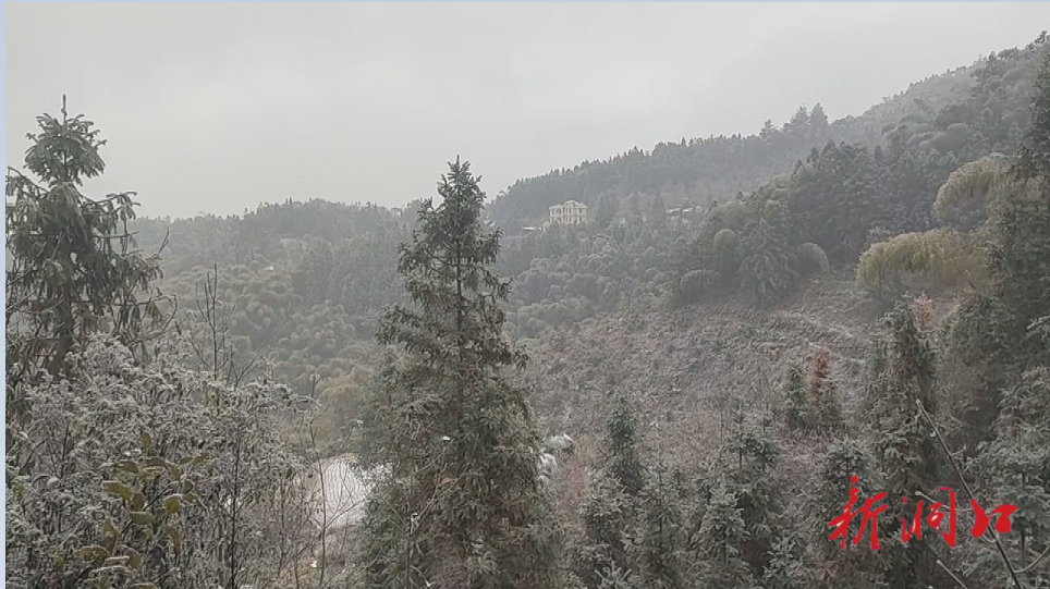 桐山乡：迎来入冬第一场雪 如诗如画美不胜收