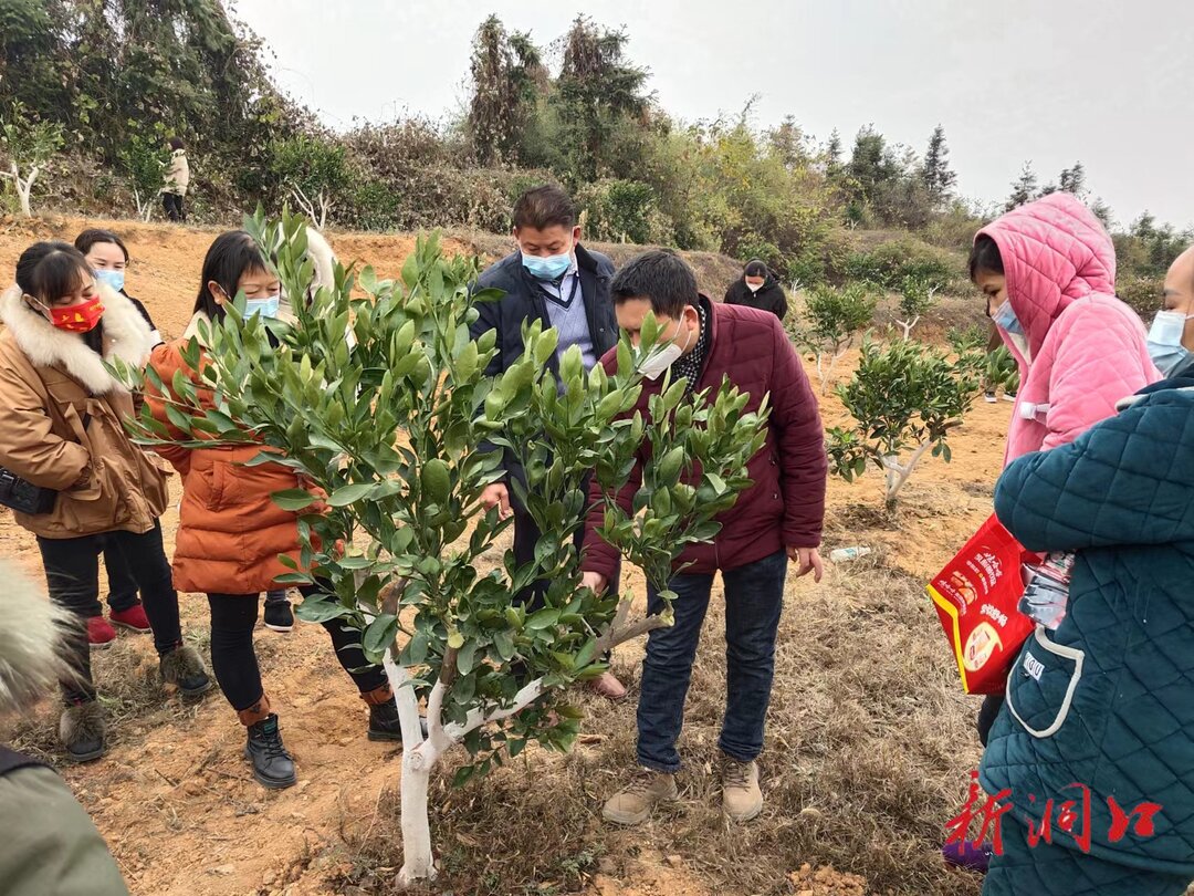 洞口农业农村局：开展实操培训，培育高素质农民