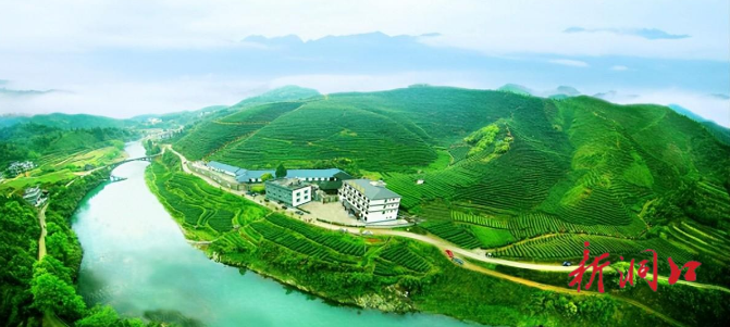 湖南古楼雪峰云雾茶有限公司获评国家级生态农场