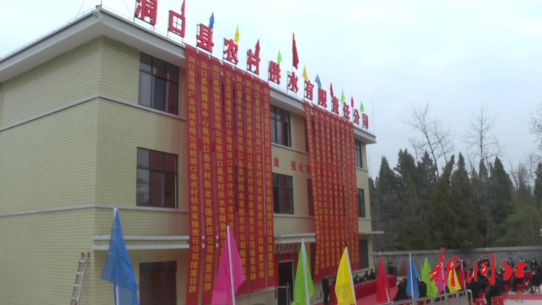 洞口县农村供水有限责任公司揭牌成立