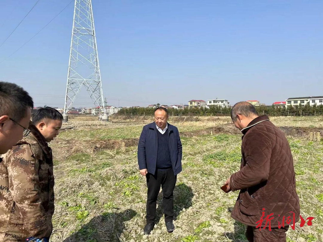 洞口高沙：人勤春早，铺开春耕备耕壮美画卷