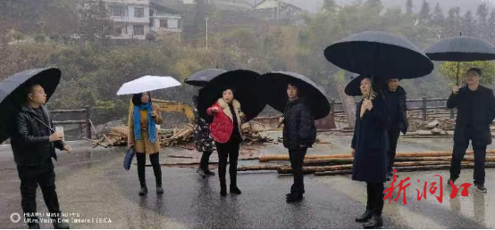 王娟一行调研指导洞口旅游景区创建工作