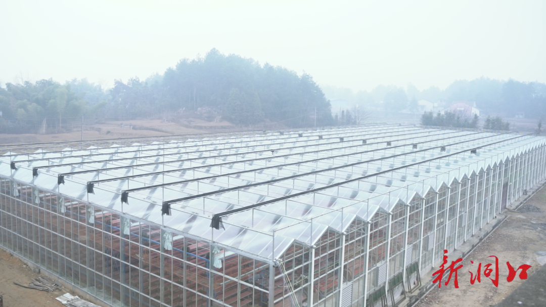 高沙镇：育秧工厂备耕忙
