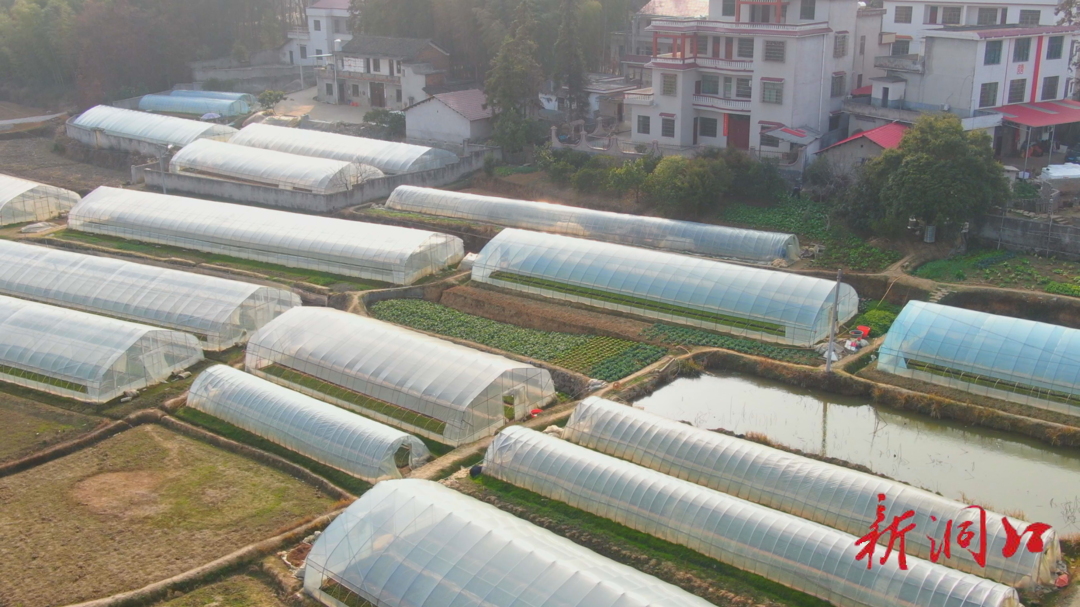 奋进的春天 | 竹市镇贻谷村：春耕备耕抢农时 蔬菜育苗稳产量