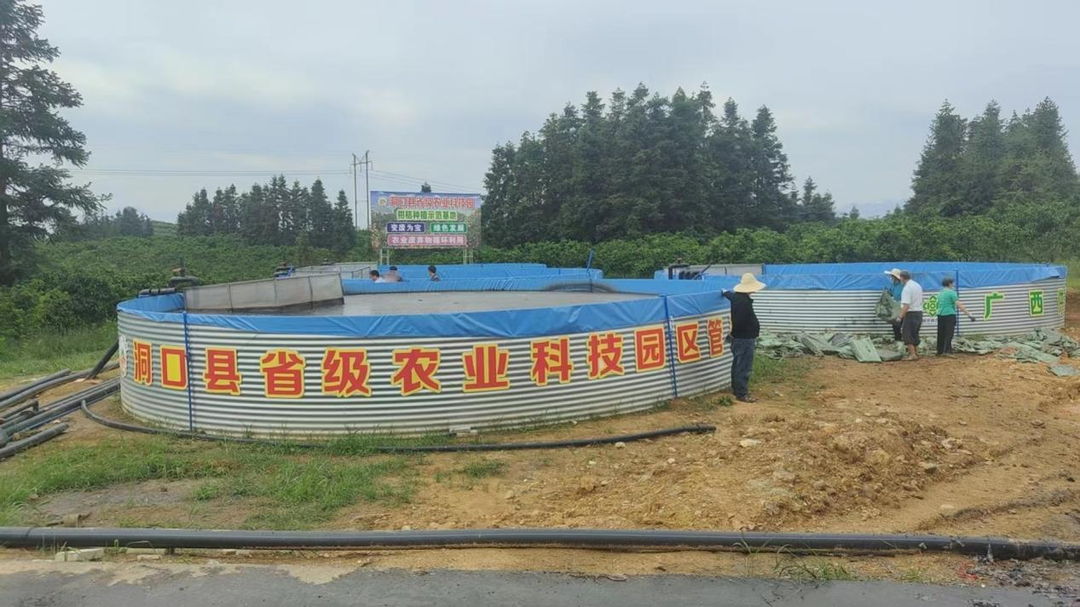 洞口：推广“数治”农业，重现“雪峰蜜桔”辉煌