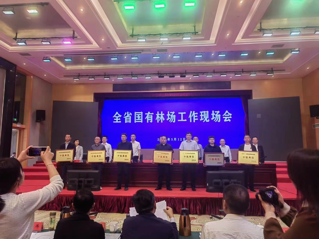 我县桥头国有林场获评2022年度湖南省“十佳国有林场”