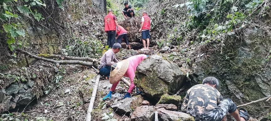 桐山乡龙桥村：抗旱保禾苗 党员显担当