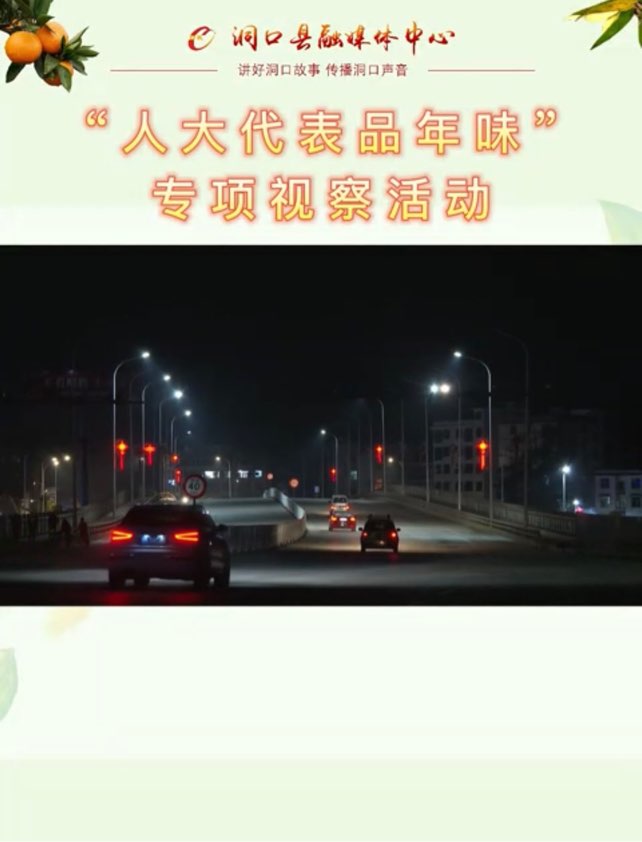 “人大代表品年味”专项视察活动