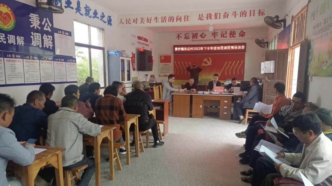 县人民法院党组书记、院长唐凌峰到黄桥镇东边村召开民情恳谈会