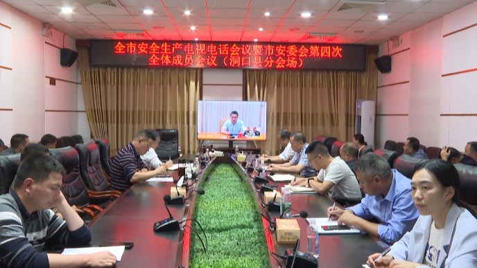 洞口县组织收看全市安全生产电视电话会议暨市安委会第四次全体成员会议