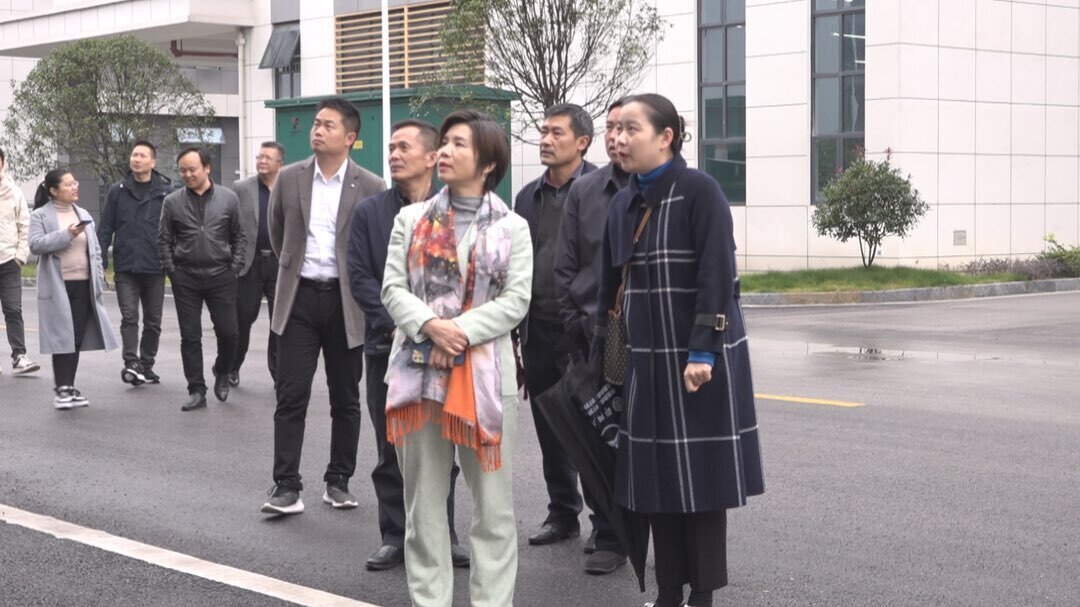 市政协调研组到洞口县开展专题调研