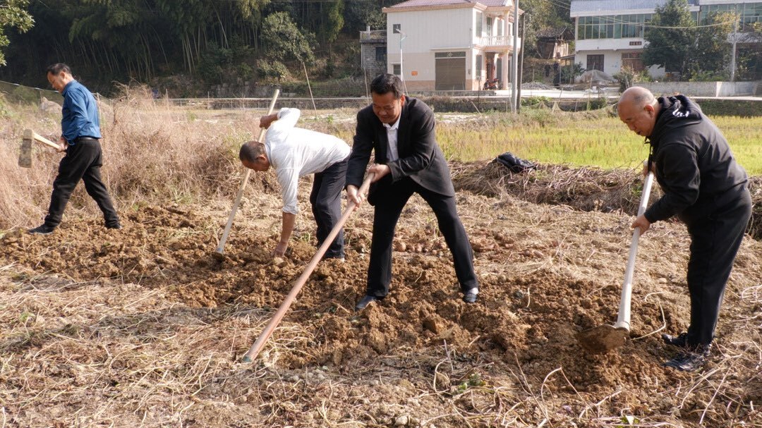 毓兰镇梅田村：百亩蜜薯喜丰收 村民致富有“薯”光