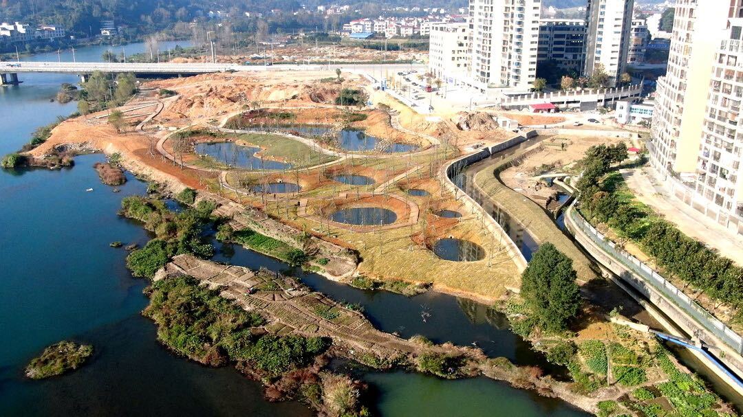 洞口县：推动湿地公园生态修复 守护一江碧水