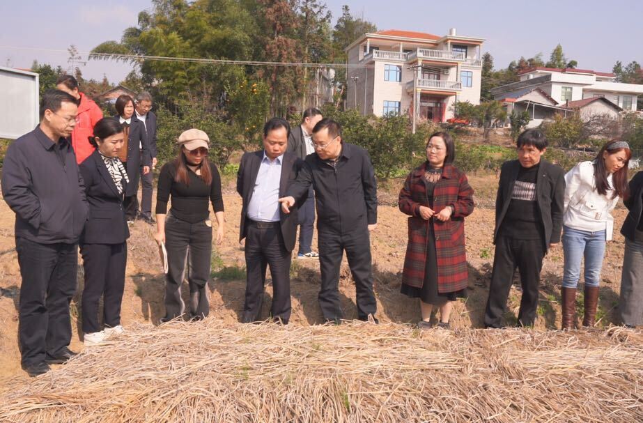 广东省民族宗教事务委员会考察团来我县调研山苍子产业发展情况